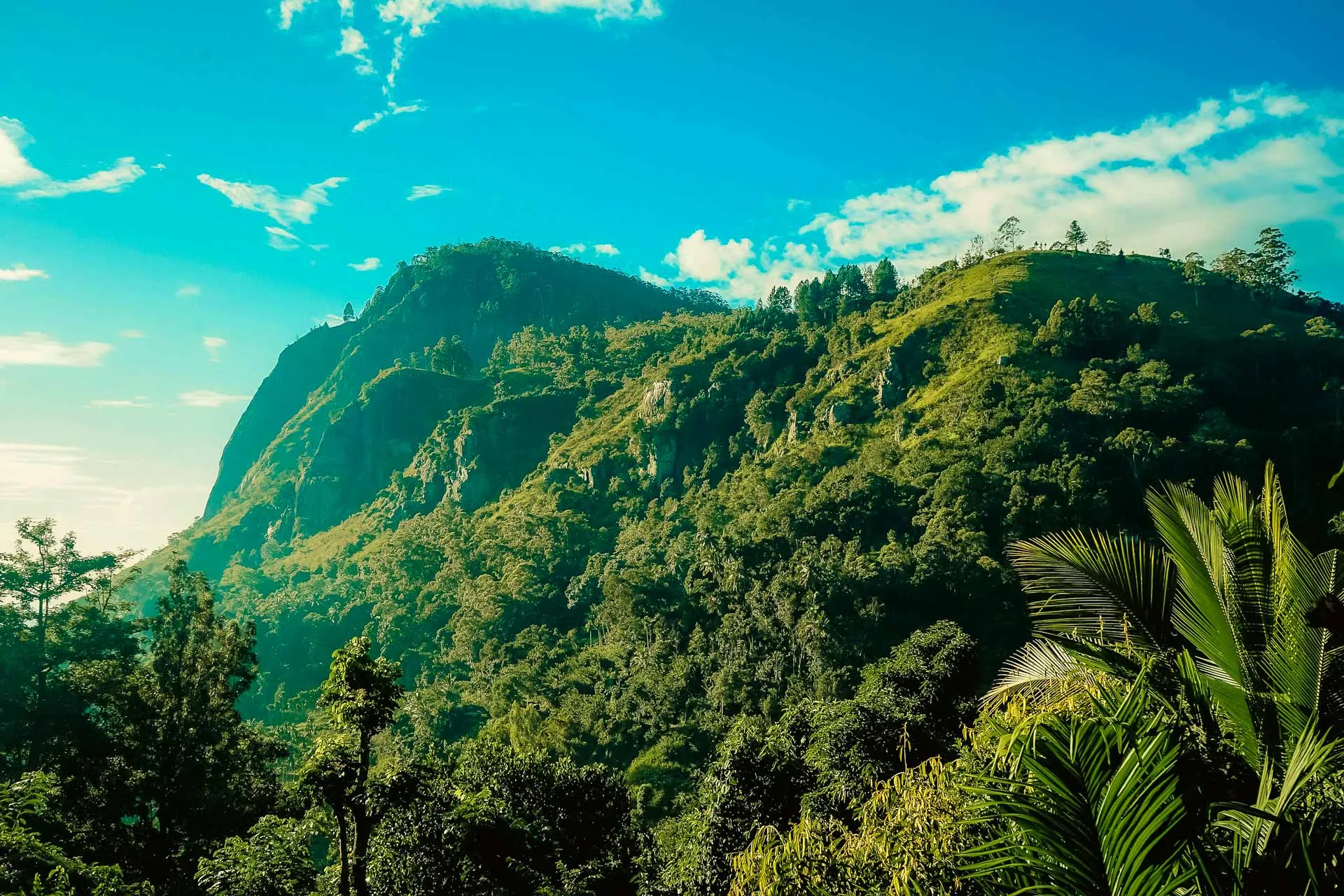 Ella Rock, Sri Lanka