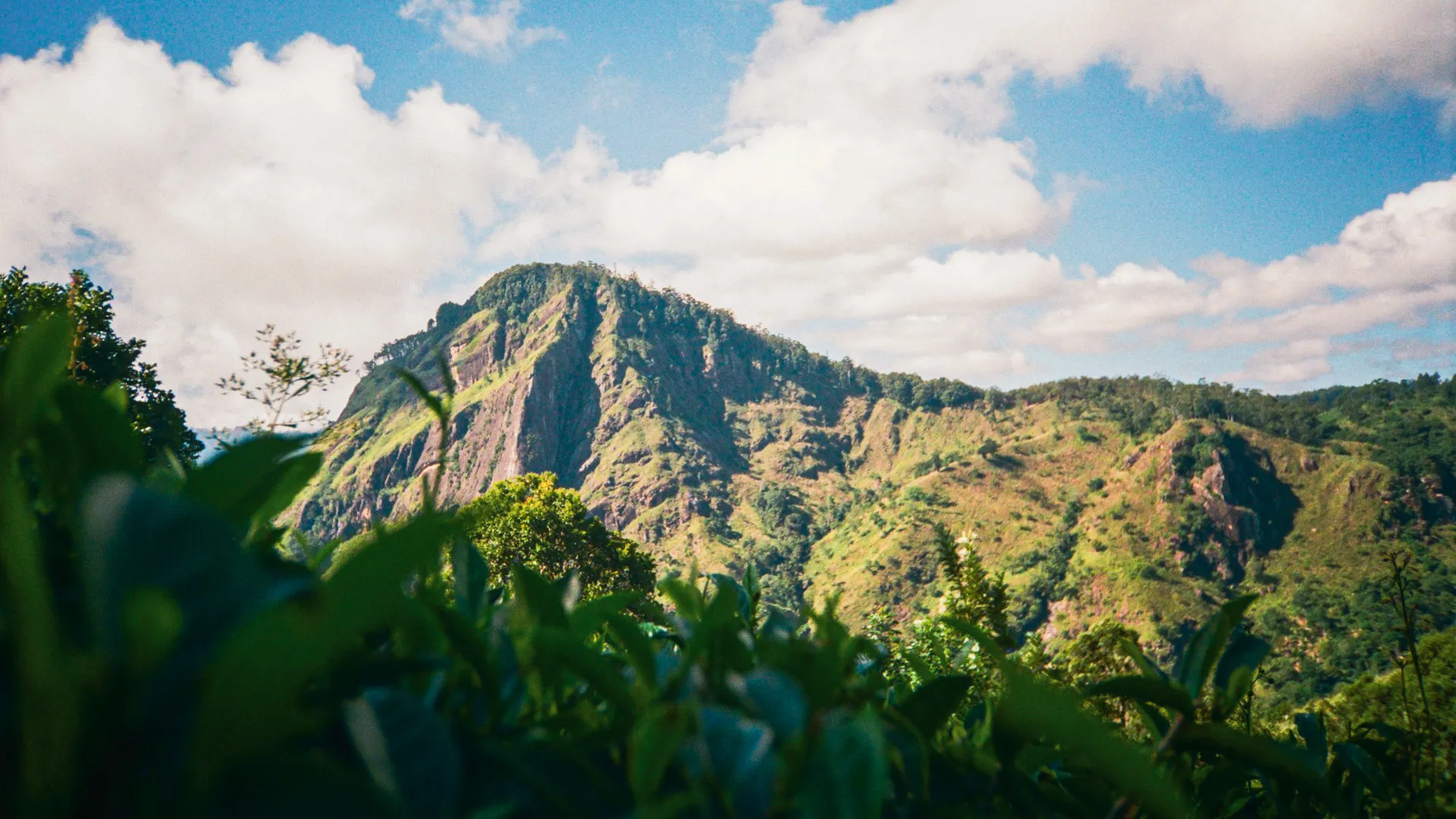 About Treasure Tours de Ceylon