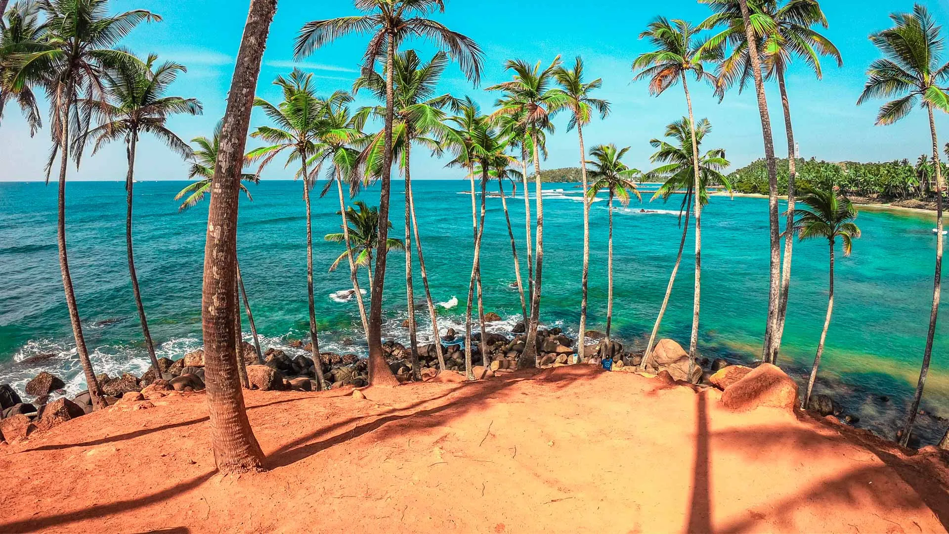 Sunny beach with golden sand and a grove of coconut palm trees.