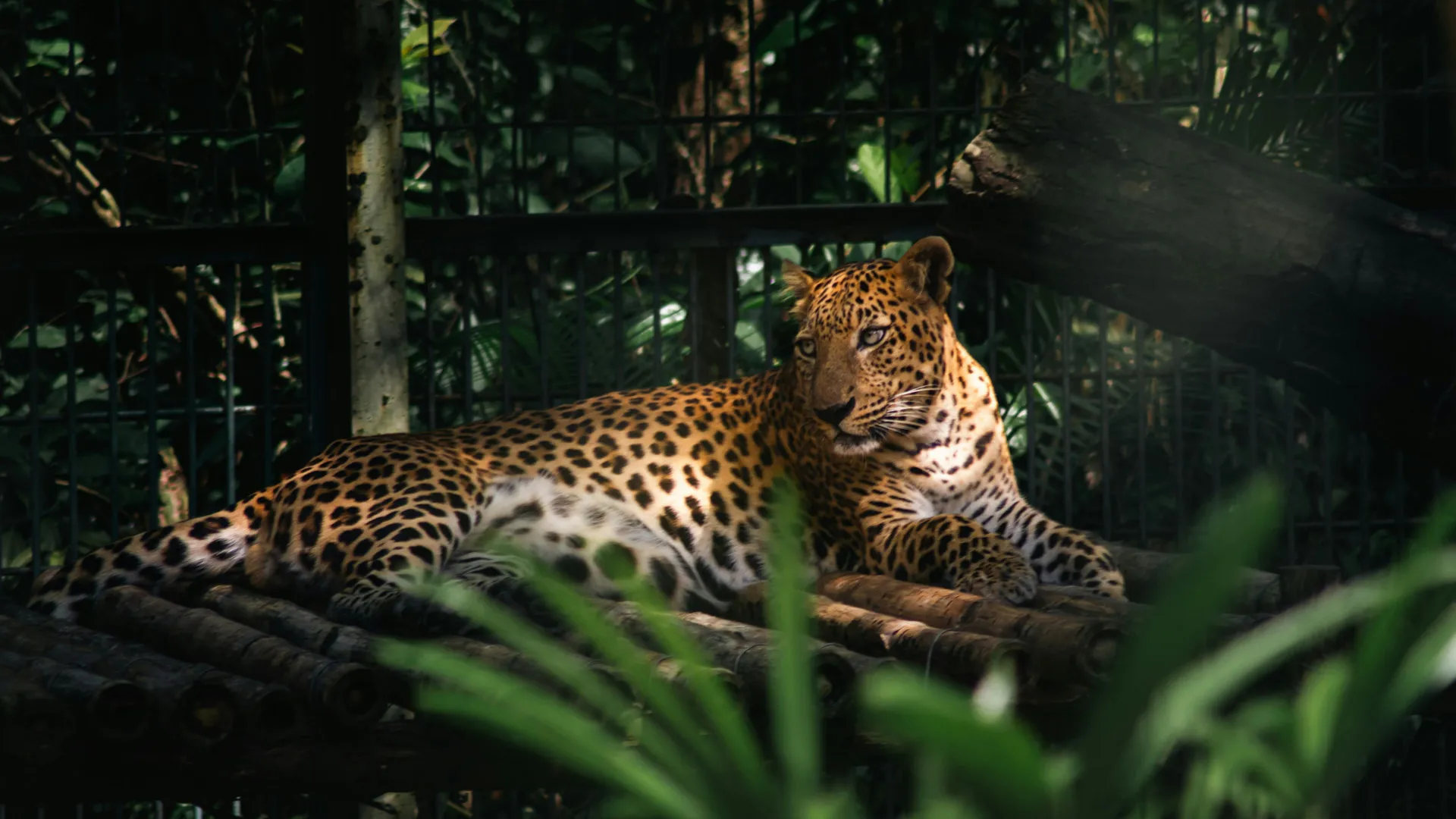 Contact Treasure Tours de Ceylon